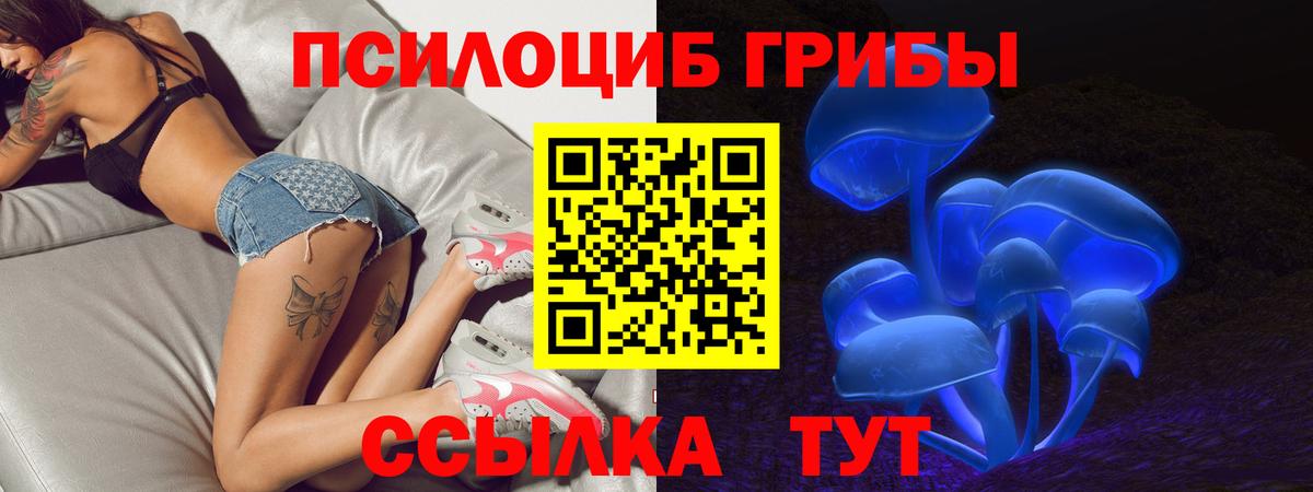 Псилоцибиновые грибы Psilocybe  Вход с VPN  Вязники 